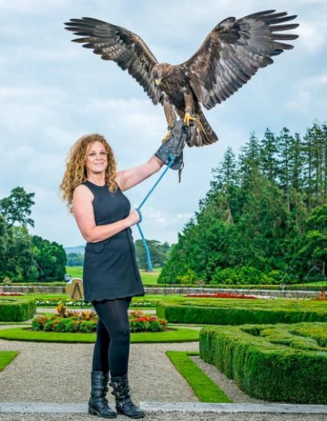 Adare Country Pursuits with Bird of Prey